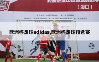 欧洲杯足球adidas,欧洲杯足球预选赛